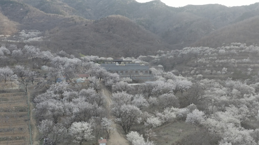 村庄农村航拍风景视频