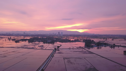 观测洪水稻田上空的飞天日落视频