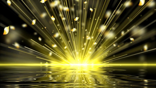 金色大气粒子花瓣放射光效倒影背景视频素材视频