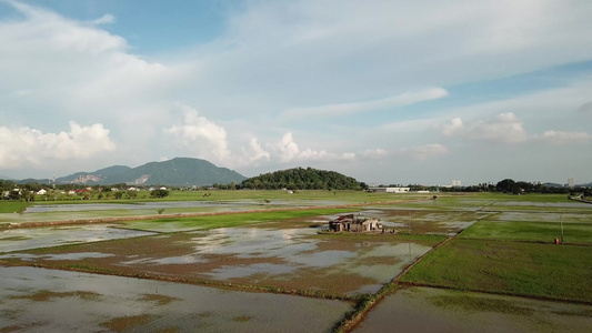 飞越稻田废弃木屋上空的空中飞行视频