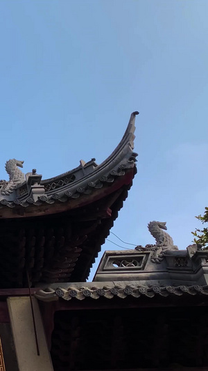 5A级景点苏州虎丘山风景名胜区视频合集古建筑124秒视频