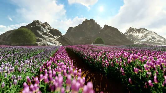 以山为背景的紫色草地视频