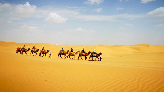 4K蓝天白云下行驶在荒芜沙漠的骆驼队视频