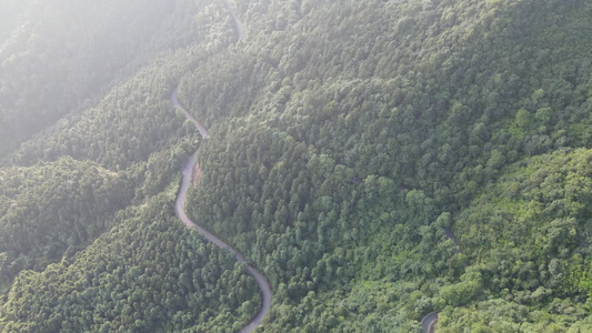 大山森林蜿蜒公路航拍视频[盘曲]视频