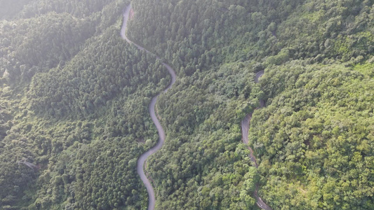 大山森林蜿蜒公路航拍视频视频