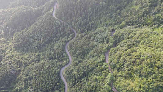 大山森林蜿蜒公路航拍视频[盘曲]视频