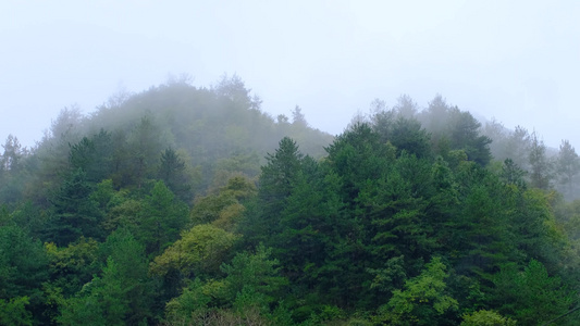 初秋雨中山脉云雾缭绕的绝美自然风光视频