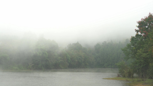 重庆万州自然山水云雾古风仙境禅意视频素材视频