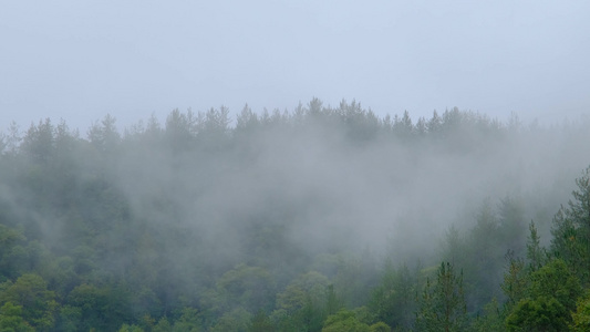 初秋雨中山脉云雾缭绕的绝美自然风光视频