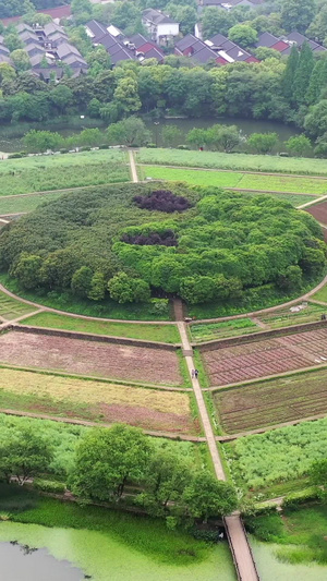 杭州八卦田遗址航拍视频杭州旅游34秒视频