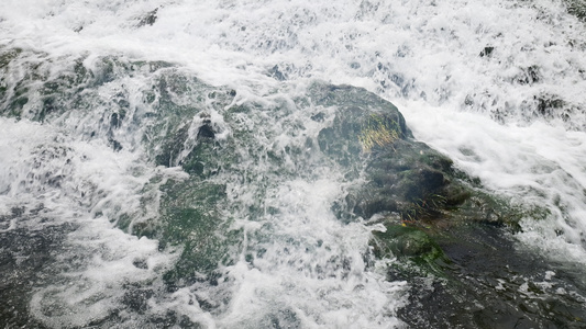 清澈河水水流溪流4K视频