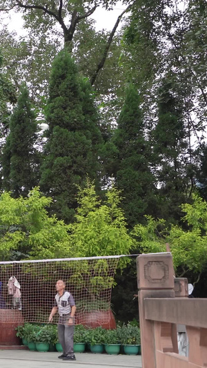 老年人生活公园打羽毛球比赛【该视频无肖像权，请勿商用】公园休息26秒视频