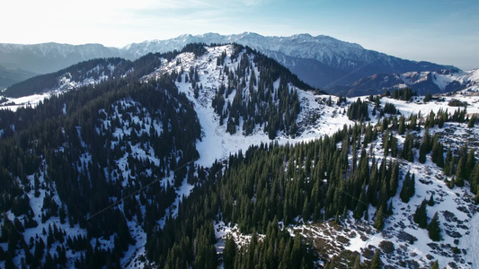 航拍冬季雪山森林视频