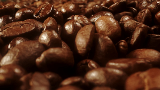 咖啡豆[生豆]视频