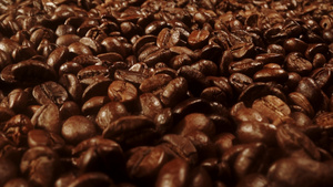 咖啡豆15秒视频