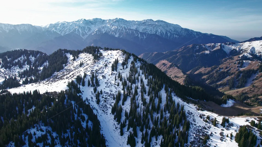 航拍冬季雪山森林视频