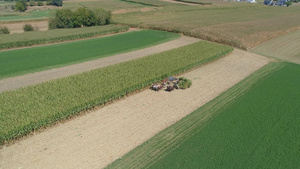 在阳光明媚的秋天收割玉米作物的阿米什家庭农场26秒视频
