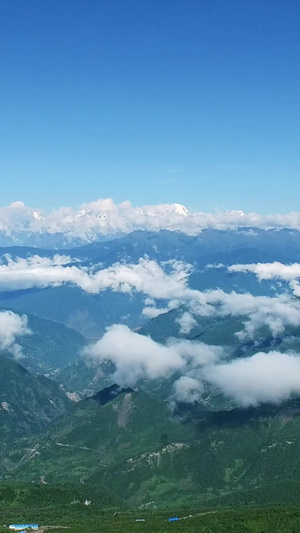 青山云海牛背山航拍贡嘎山8秒视频