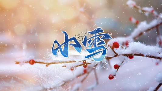 小雪节气传统文化宣传展示视频