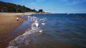 4K实拍夏日海边沙滩23秒视频