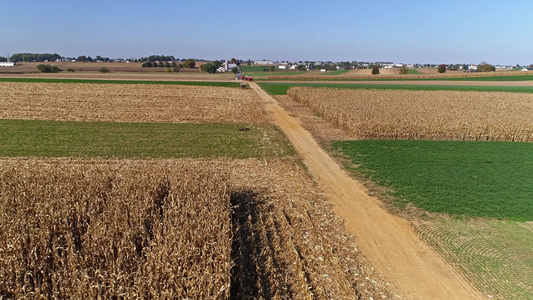 航拍阳光明媚的秋天收割玉米的农场视频
