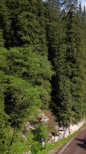 航拍4A伊犁昭苏夏塔国家森林公园旅游目的地53秒视频