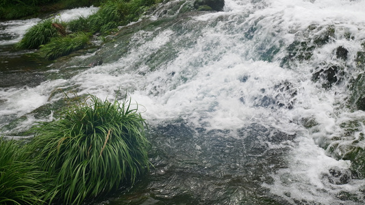 水流小溪4K视频