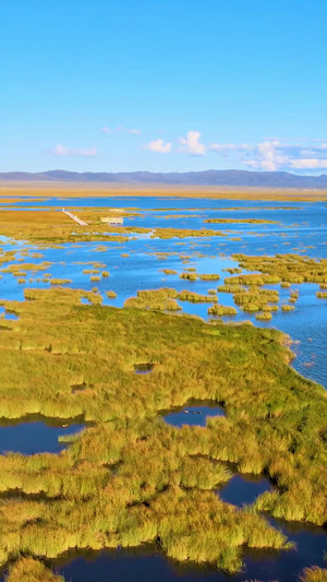 航拍若尔盖花湖生态旅游区唯美风景64秒视频