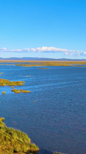 航拍若尔盖花湖生态旅游区空镜头64秒视频