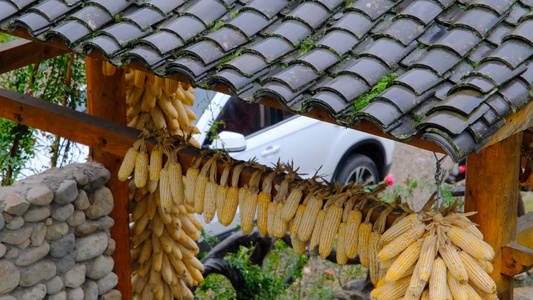 初秋山中农村雨中滴水的屋檐和树叶视频