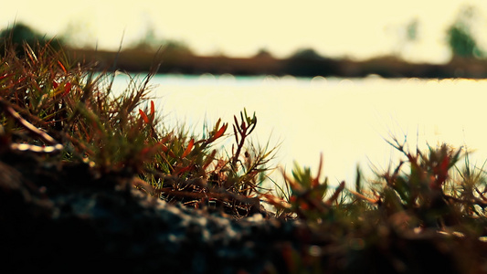 湖中闪闪发光的水表面的电影场景视频