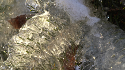冻雨后冰冷的冰雪里有卷木树枝视频
