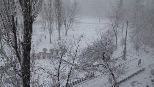 在街上下雪视频