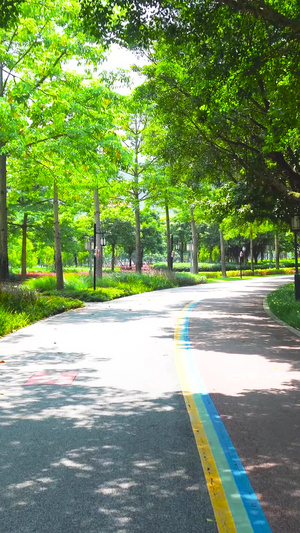 公园树荫散步路径公园径21秒视频