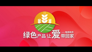 简洁时尚电商促销快闪助农宣传字幕展示20秒视频