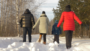 一家人冬季森林中走雪路17秒视频