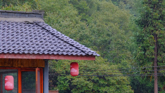 初秋山中农村雨中滴水的屋檐和树叶视频