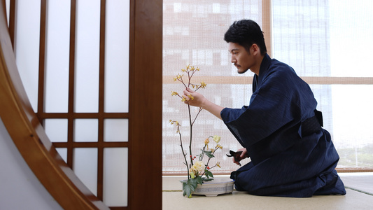 穿着和服的花艺师在修剪花视频