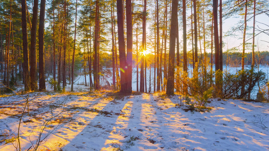 冬季森林的日落,4千个时间跨度视频