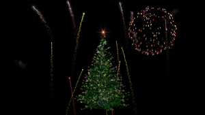 圣诞节节日灯光树,在黑色的烟花露台上种植9秒视频