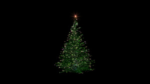 圣诞假日灯光树,种植和旋转,挂着乳茶17秒视频