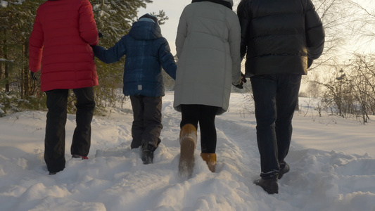 家人在雪林里走来走去视频