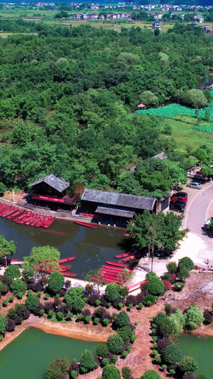 桂林会仙喀斯特国家湿地公园景区航拍风景区59秒视频