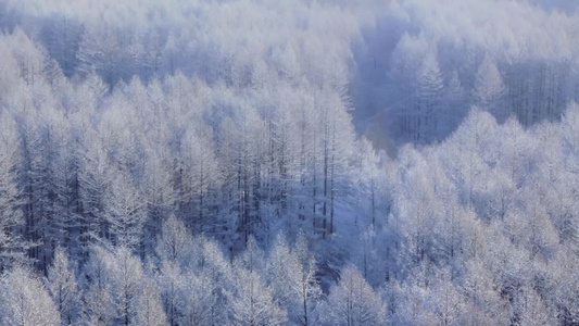 4k航拍长焦冰雪树林树木风景视频