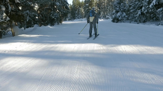 在松树的滑雪山坡上乘滑雪滑雪机视频