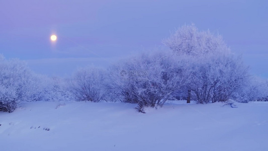 4k航拍月光下的雾凇雪景风光视频