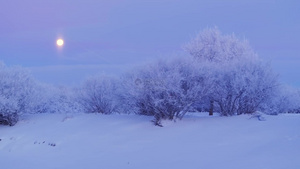 4k航拍月光下的雾凇雪景风光21秒视频