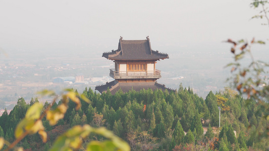 树林里古典榫卯结构建筑特写视频