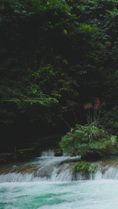 小瀑布和流淌的河水视频