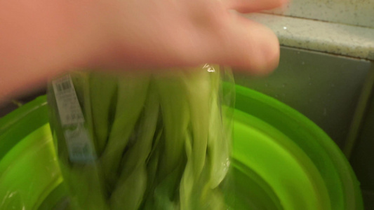 清洗油菜处理油菜视频